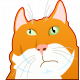 Error