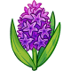Первоцветик