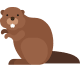Бобровый бро