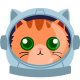 К взлёту котов!